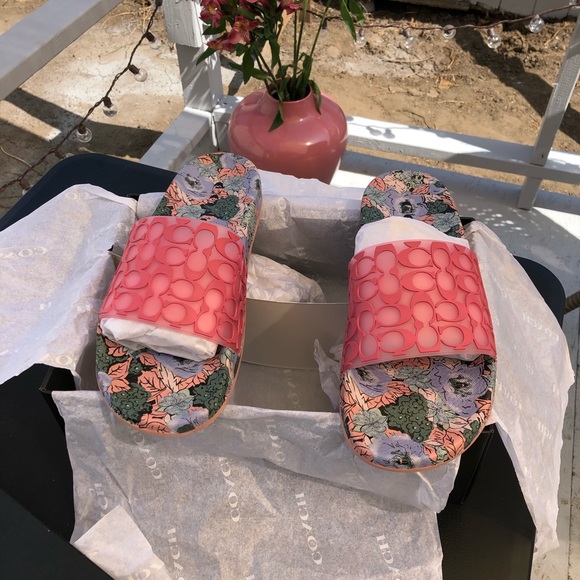 Coach Slides - Picture 3 of 7